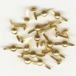 Gold circle fasteners