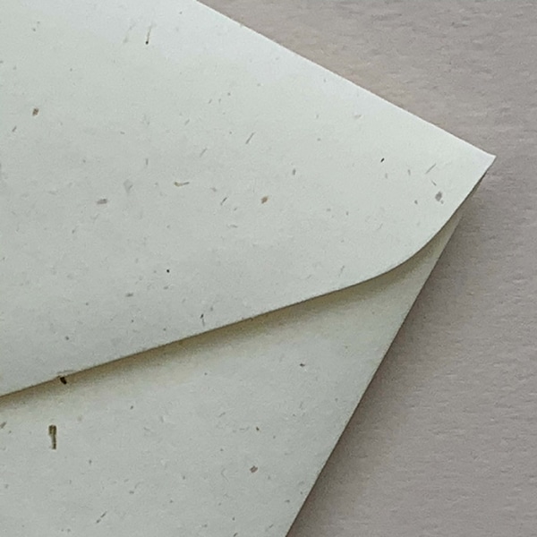 Enviro Wheat 11B Euro Flap Envelope - Image 3