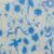 Blue Bird Silver