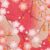 Pink Orange Ume